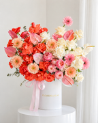 Blush Velvet Elegance