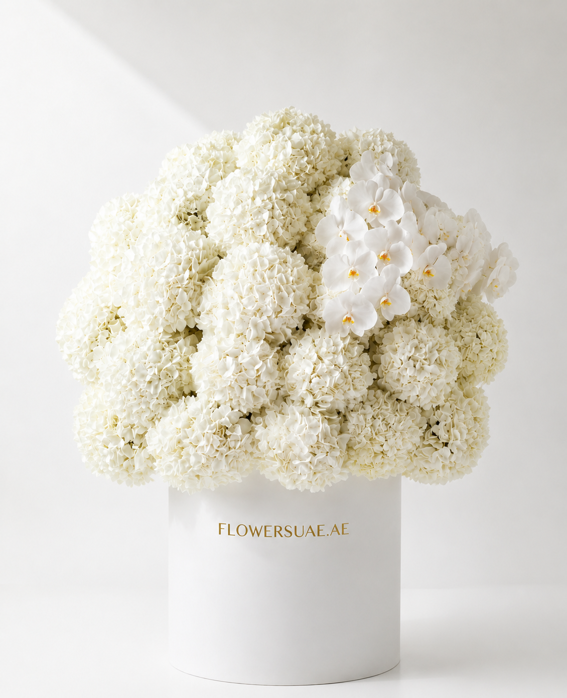 White Hydrangea & Phalaenopsis Luxury Flower Box