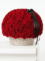 Large basket of premium red roses with black ribbon arrangement on white table