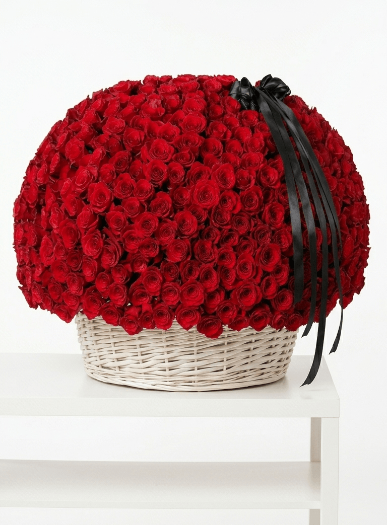 Large basket of premium red roses with black ribbon arrangement on white table