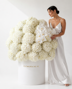 White Hydrangea & Phalaenopsis Luxury Flower Box