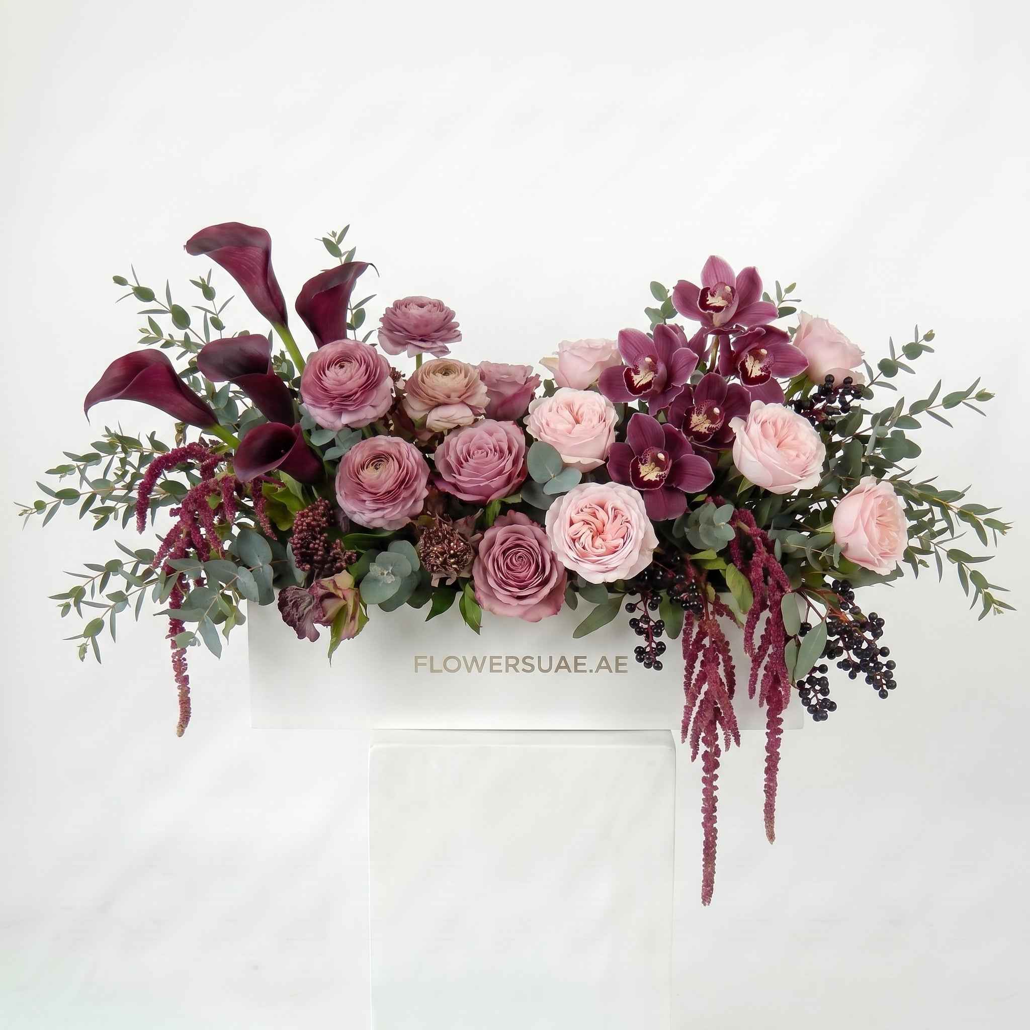 Plum & Velvet Horizon Box